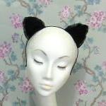 Black Lace Kitten Ears Head..